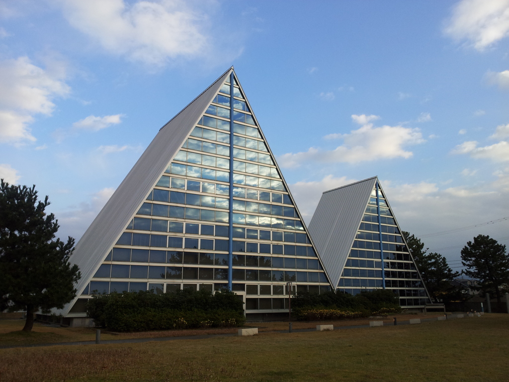 2016/12/10_埋没林博物館に空
