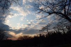 2016/03/26_北本自然観察公園の夕空