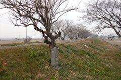 2014/01/25_庚申塔