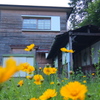 2014/06/01_廃校（旧南川小学校）