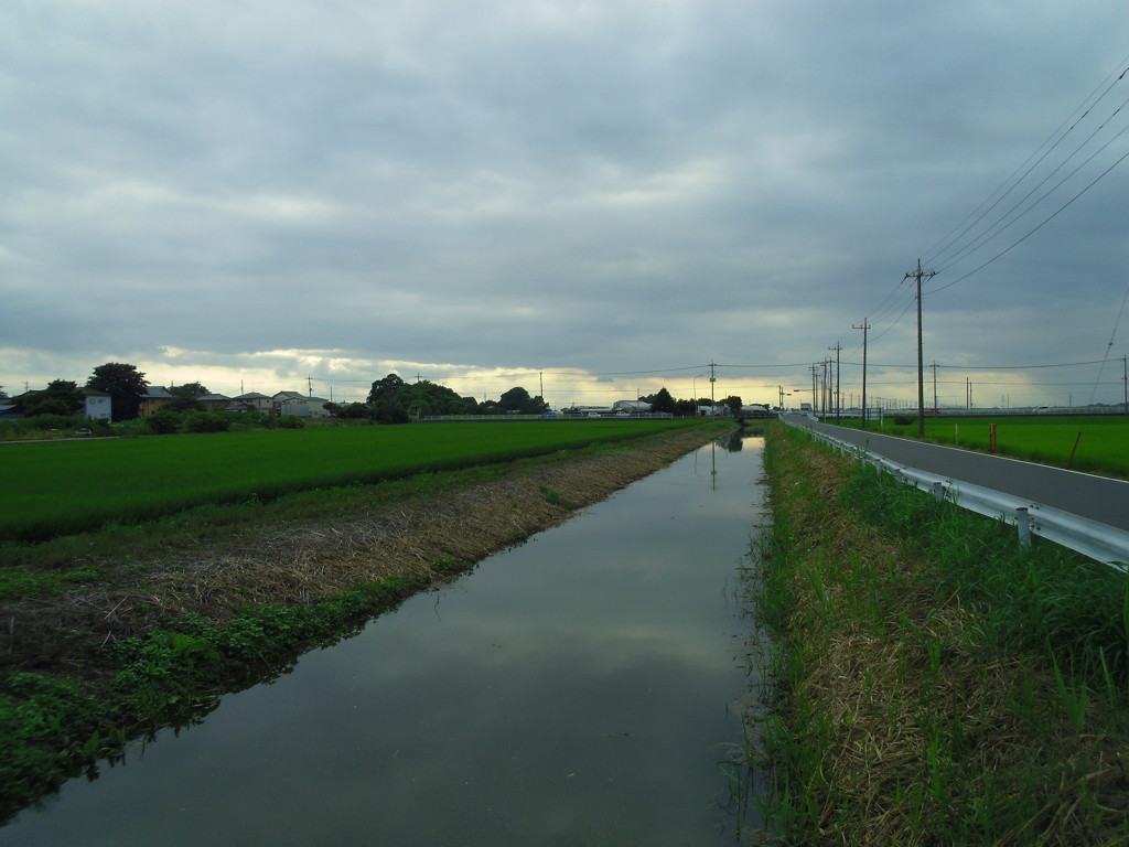 2017/08/12_用水路の曇天