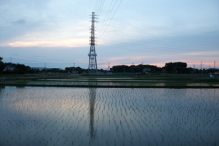 2016/06/11_水田の夕暮れ