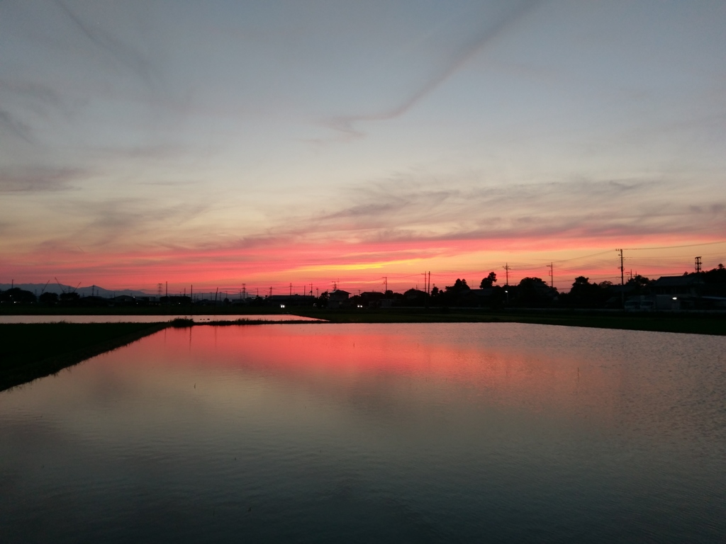 2018/06/24_水田の夕暮れ