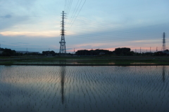2016/06/11_水田の夕暮れ