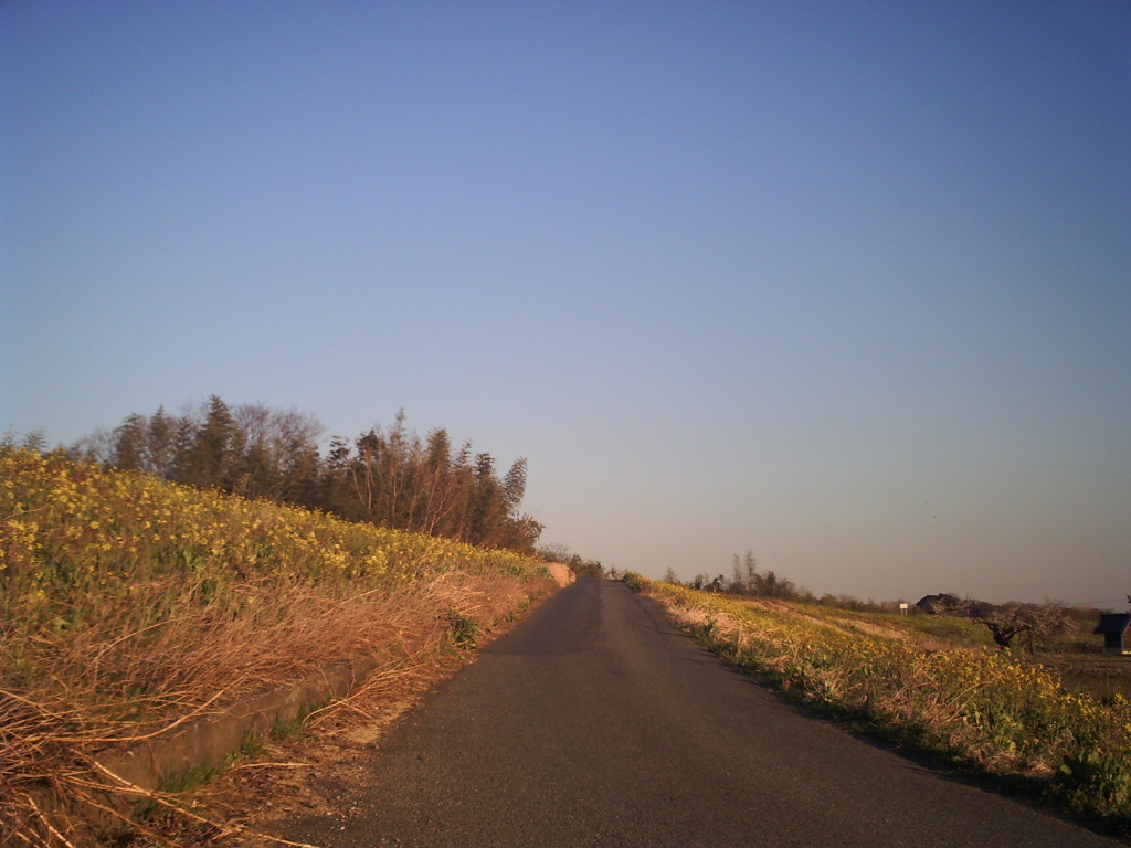 2014/03/15_堤防への道