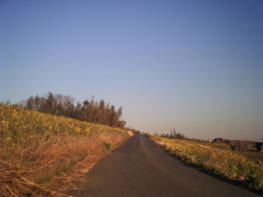 2014/03/15_堤防への道