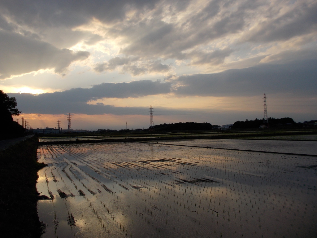 2017/06/10_水田の夕暮れ