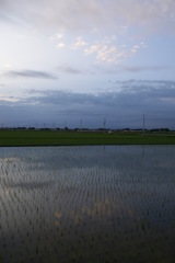 2015/06/21_水田の夕暮れ