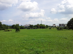 2018/07/14_中央公園