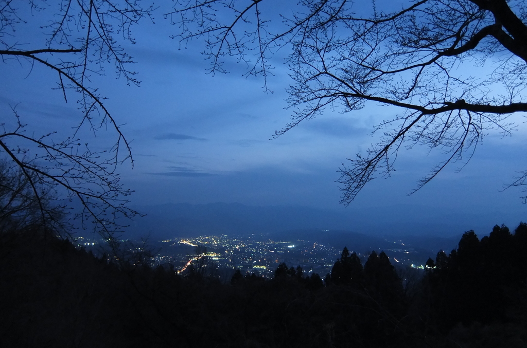 2014/03/29_秩父山中からの夜景