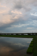 2016/06/26_水田の夕暮れ