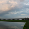 2016/06/26_水田の夕暮れ