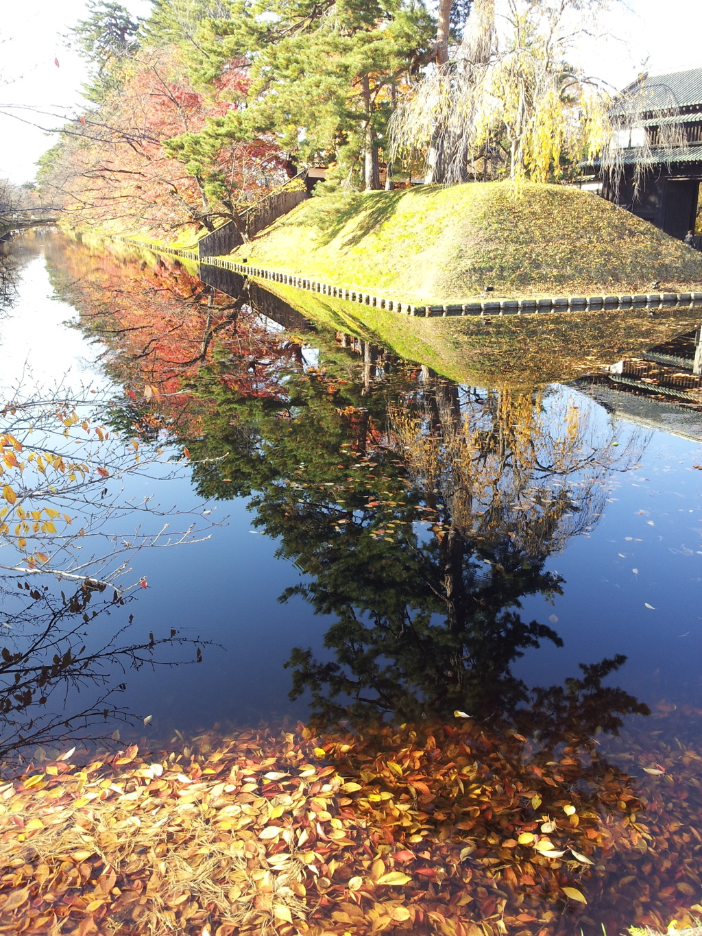 2016/11/14_弘前公園 外濠