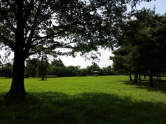 2018/07/14_中央公園