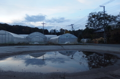 2015/11/29_水たまりに空