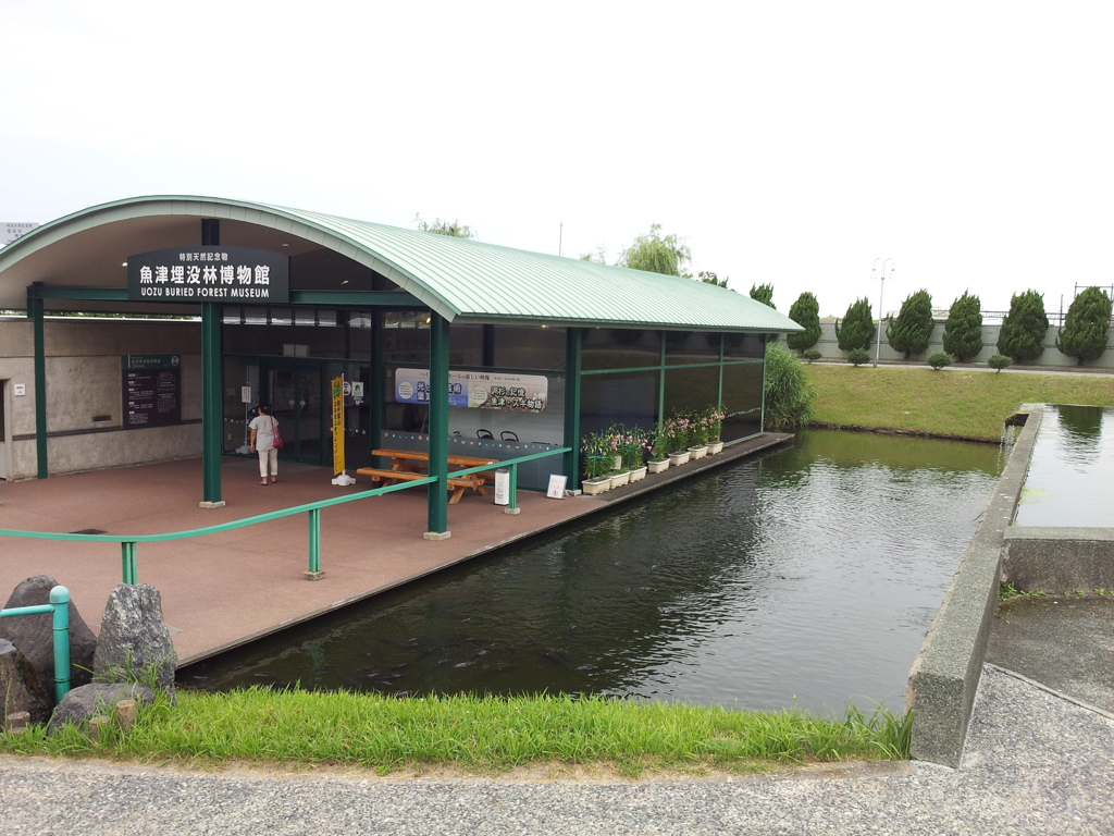 2017/08/11_魚津埋没林博物館