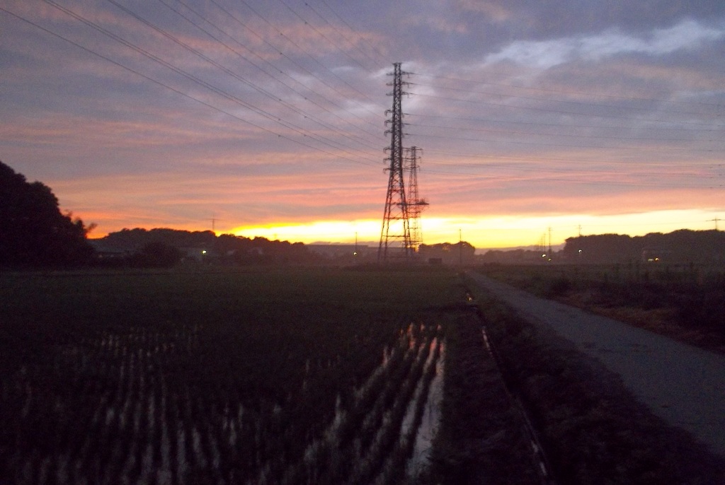 2015/06/27_水田の夕暮れ