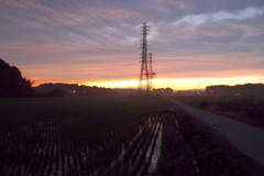 2015/06/27_水田の夕暮れ