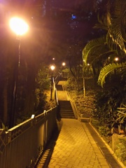 2017/03/12_夜の香港公園