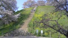 2011/04/16_丸墓山古墳