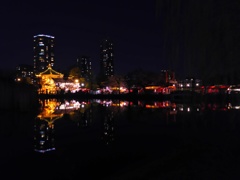 2017/04/03_夜の上野公園