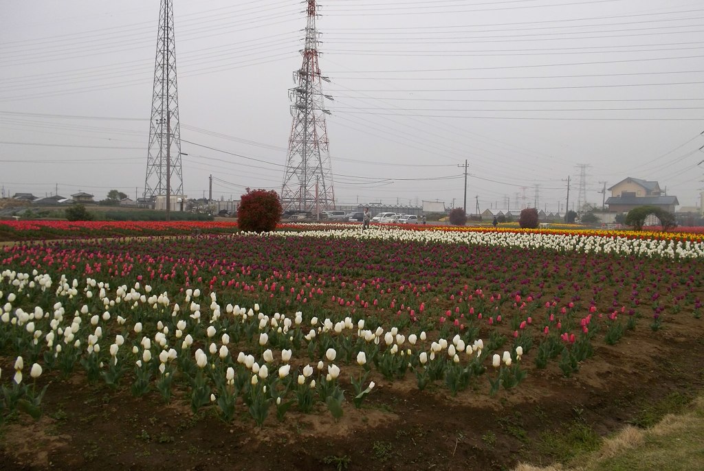 2016/04/10_花のオアシス