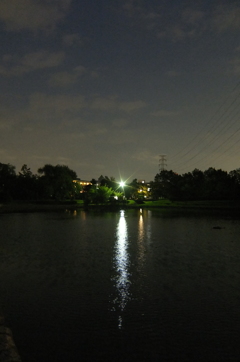 2015/10/04_夕暮れの平成の森公園