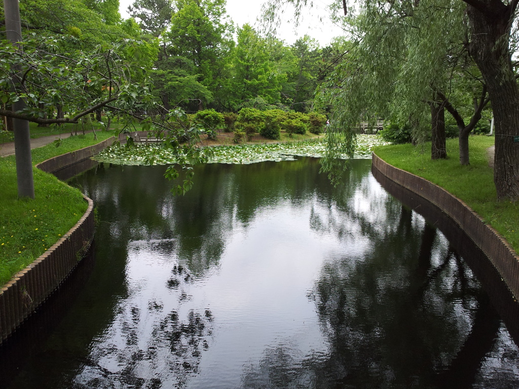 2018/07/16_合浦公園の池