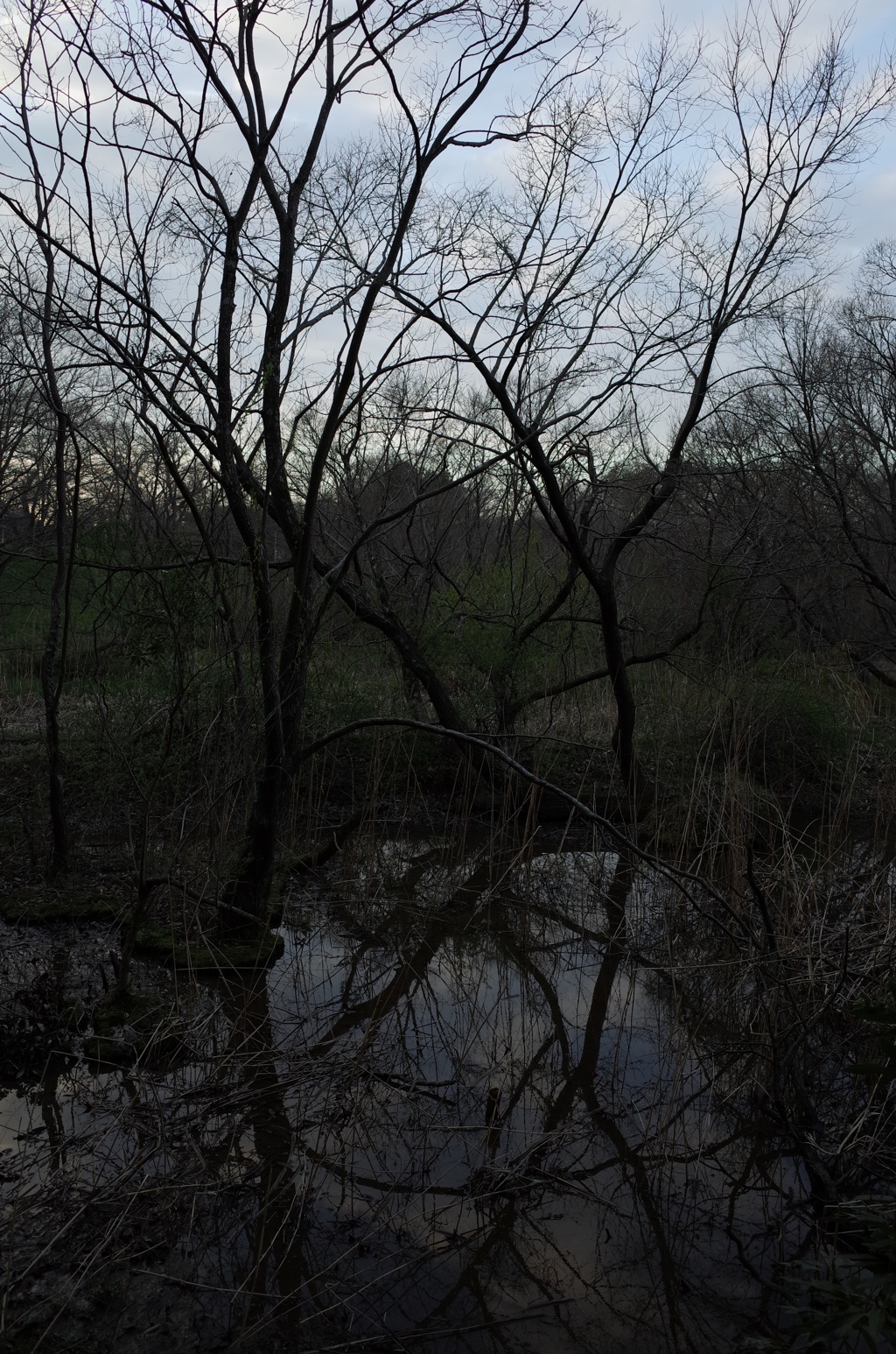 2016/03/26_北本自然観察公園