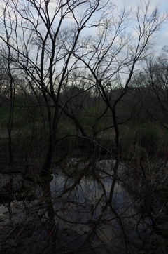 2016/03/26_北本自然観察公園