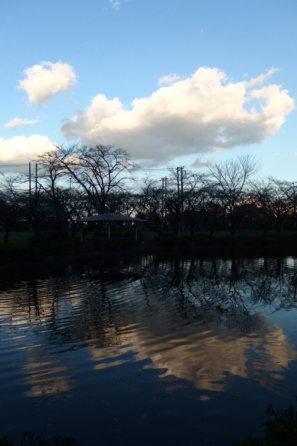 2015/11/03_岩槻城址公園