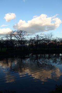 2015/11/03_岩槻城址公園