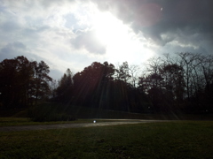 2016/11/13_三内丸山遺跡の空
