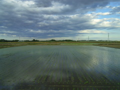 2017/06/04_水田に雲