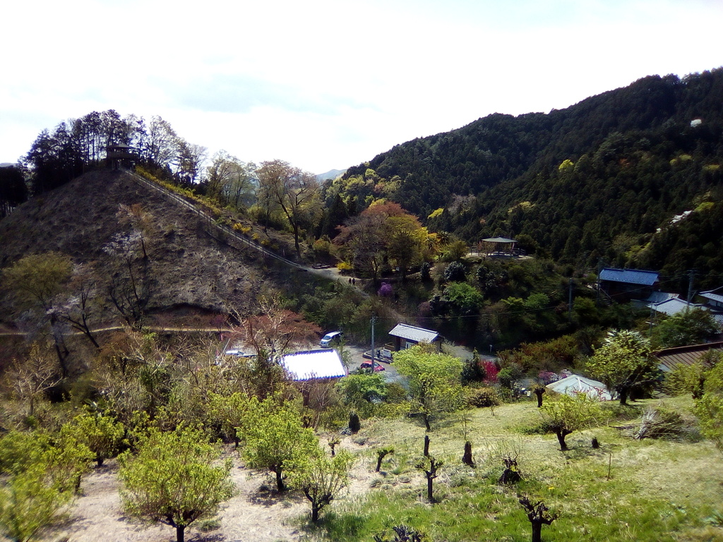 2018/04/08_花桃の郷