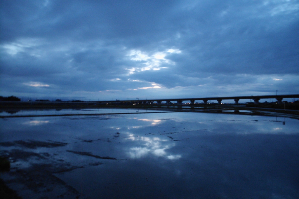2015/06/21_水田の夕暮れ