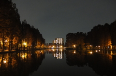 2014/11/24_夜の別所沼公園