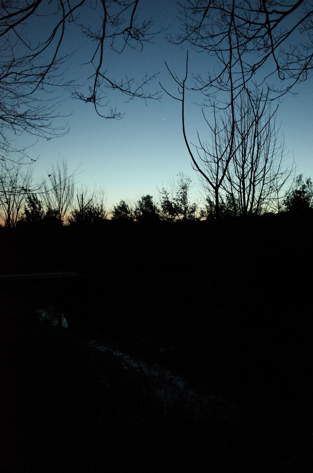 2015/02/15_夕暮れの秋葉の森総合公園