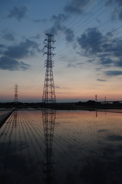 2016/06/05_水田の夕暮れ
