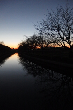 2015/12/26_見沼代用水の夕暮れ