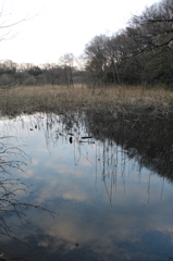 2016/03/26_北本自然観察公園