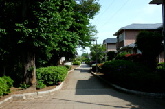 2014/05/04_緑の道