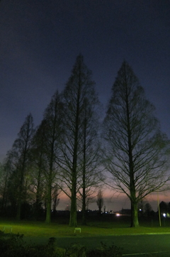2014/12/28_川里中央公園の夕暮れ
