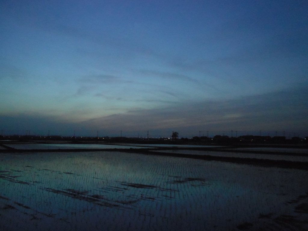 2016/05/07_水田の夕暮れ