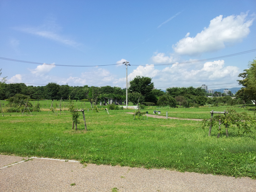 2018/07/14_中央公園