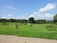 2018/07/14_中央公園
