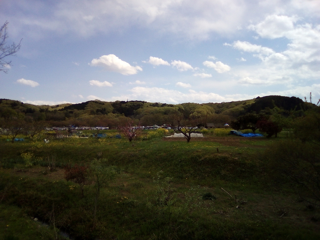 2018/04/08_巾着田
