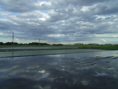2017/06/04_水田に雲