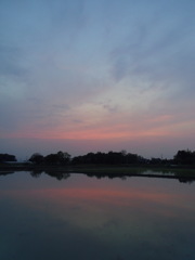 2016/05/01_水田の夕暮れ
