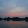 2016/05/01_水田の夕暮れ